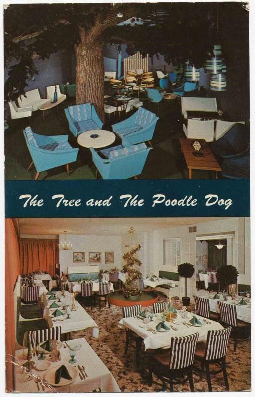 The Tree and the Poodle Dog